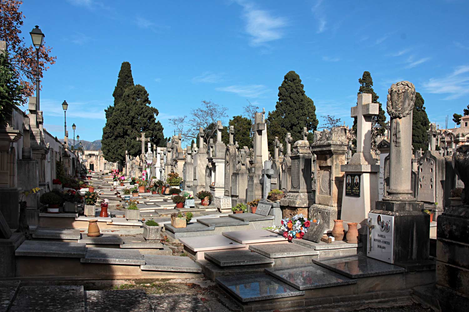 “Cementerio Municipal” in Palma de Mallorca