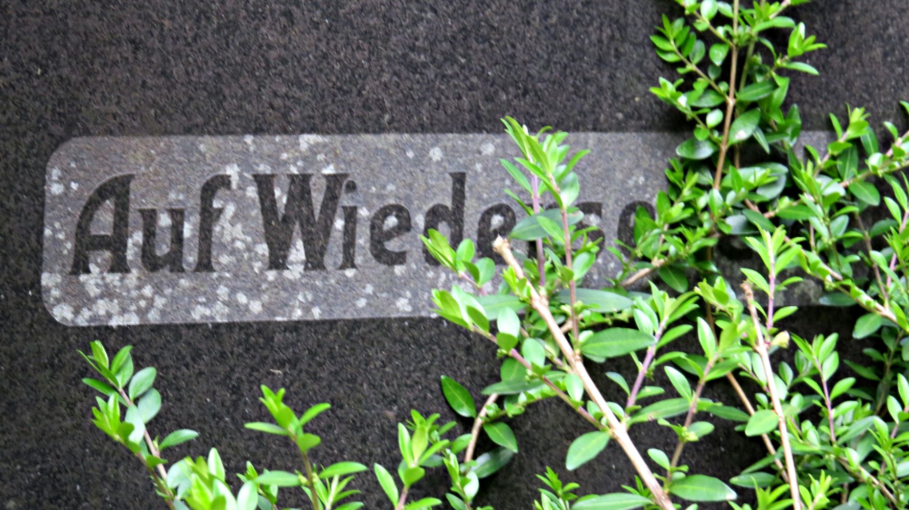 “Waldfriedhof” Wiesbaden