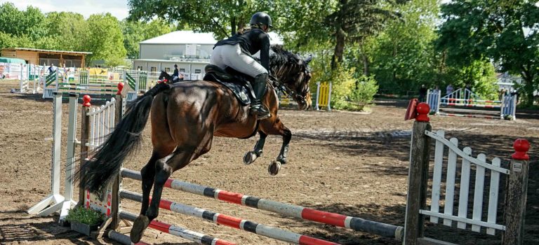 Reitturnier Mainz-Finthen 2026 – Dressur und Springen hautnah erleben