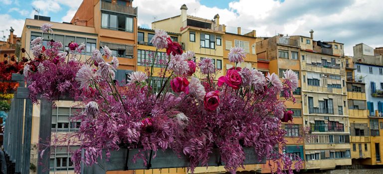 Temps de Flors – Girona in voller Blüte